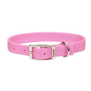 Coastal Double Ply Dog Collar - Pisces Pet Emporium