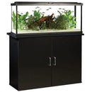 Fluval Premium LED Aquarium Kit - Black - Pisces Pet Emporium