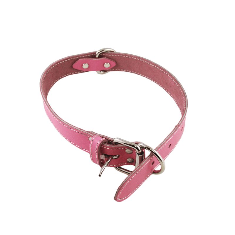 Lacet's Arizona Leather Single Collar - Pisces Pet Emporium