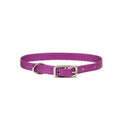 Coastal Single-Ply Dog Collar - Pisces Pet Emporium