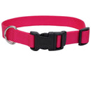 Coastal Adjustable Dog Collar - Pisces Pet Emporium
