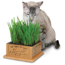SmartCat Kitty's Garden - Pisces Pet Emporium