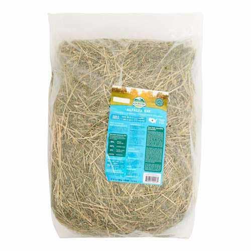 Oxbow Alfalfa Hay - Pisces Pet Emporium