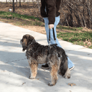 Solvit Lifting Aid Rear Portion Only - Large - Pisces Pet Emporium