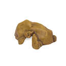 Exo Terra Reptile Cave - Pisces Pet Emporium