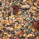 Sunseed Vita Parrot - Pisces Pet Emporium