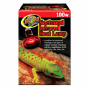 Zoo Med Nocturnal Infrared Heat Lamp - Pisces Pet Emporium