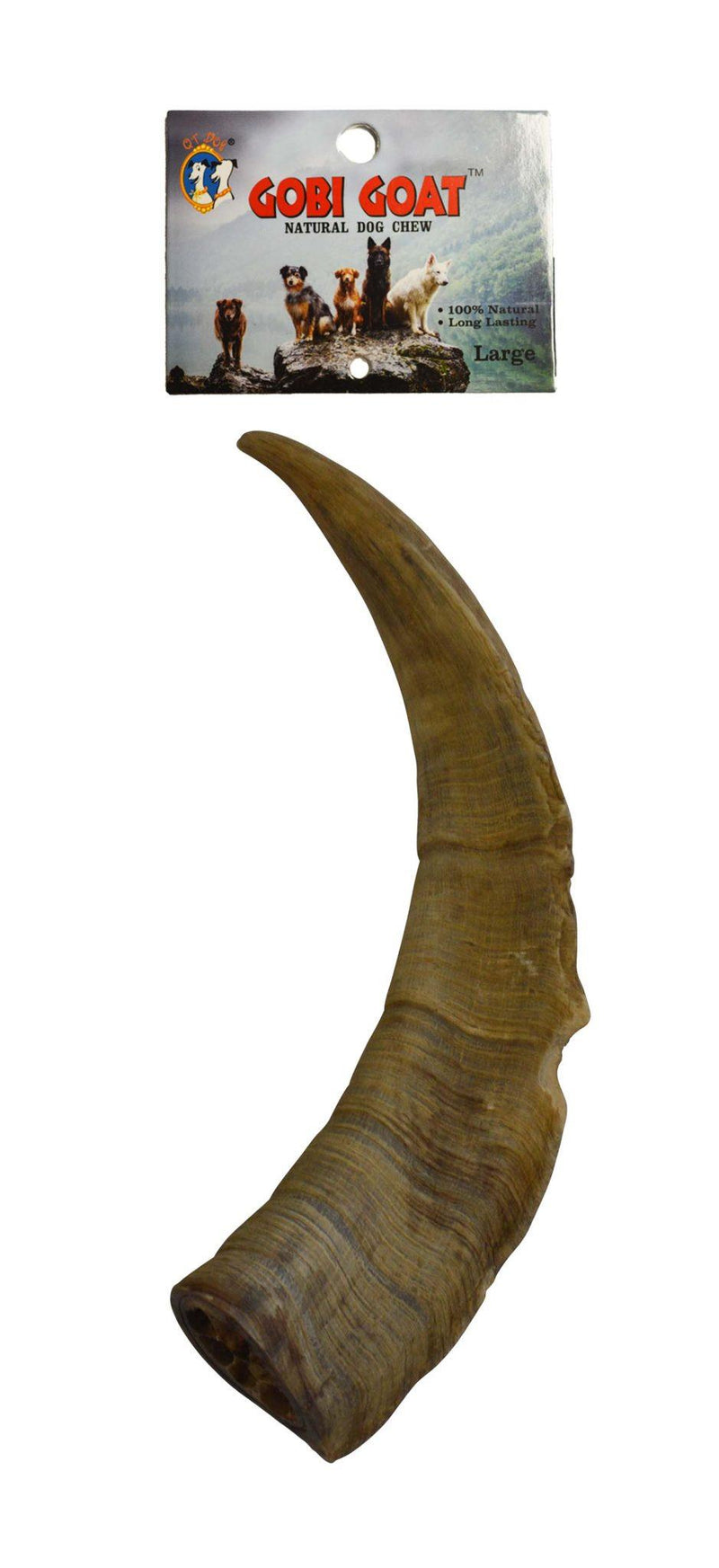 Free-Range Gobi Desert Goat Horn