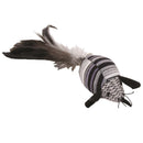Turbo Random Fun Cat Toy - Pisces Pet Emporium