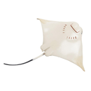 Safari Ltd. Cownose Ray - Pisces Pet Emporium