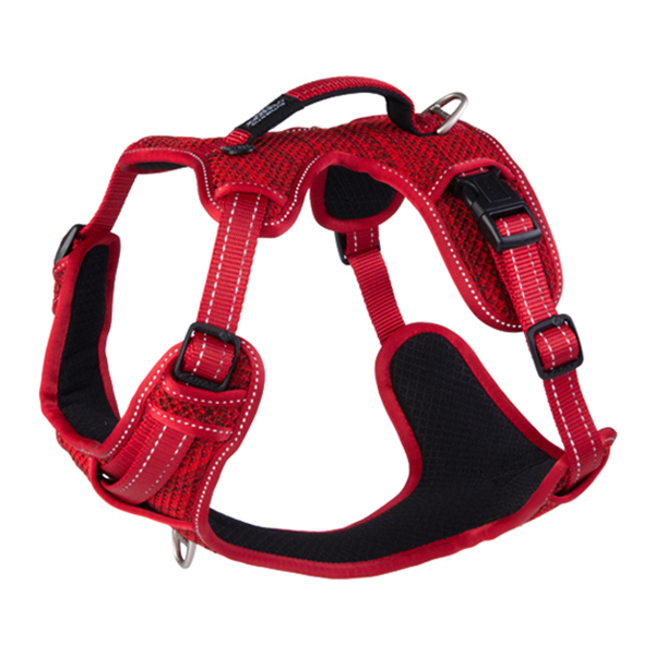 Rogz Nitelife Small Explore Harness - Available in 3 Colours - Pisces Pet Emporium