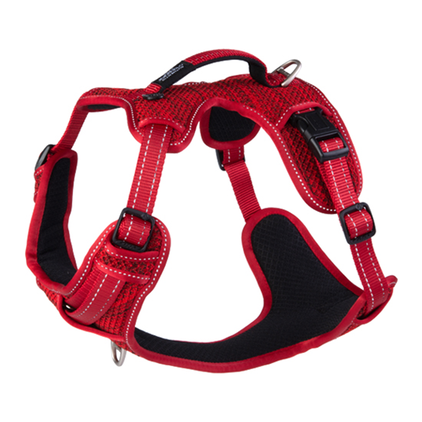 Rogz Fanbelt Large Explore Harness - Available in 3 Colours - Pisces Pet Emporium