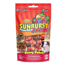 Higgins Sunburst Freeze Dried Fruit - 0.5oz - Pisces Pet Emporium