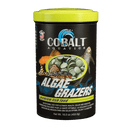 Cobalt Algae Grazers - Pisces Pet Emporium
