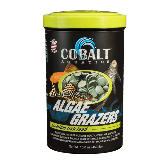 Cobalt Algae Grazers - Pisces Pet Emporium