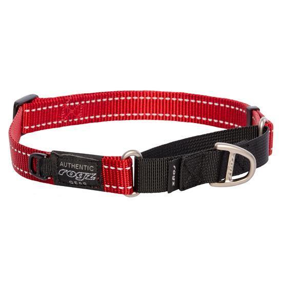 Rogz Control Collar Web XL - Available in Five Colours - Pisces Pet Emporium