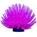 Tetra GloFish Anemone - Pisces Pet Emporium