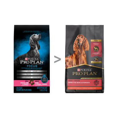 Purina Pro Plan Sensitive Skin Stomach Salmon | Pisces