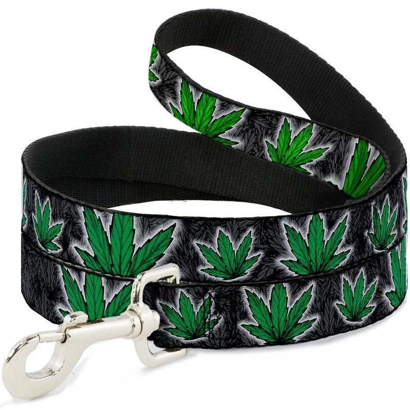 Buckle-Down Marijuana Haze Rasta & Black - Collar/Leash - Pisces Pet Emporium