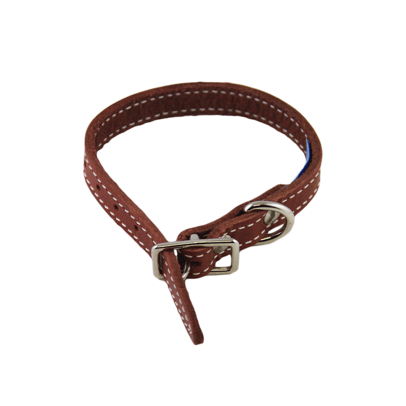 Lacet's Arizona Leather Single Collar - Pisces Pet Emporium