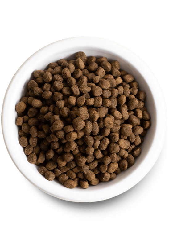 Open Farms Ancient Grains Puppy Food - Pisces Pet Emporium