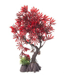 Aqua-Fit Japanese Maple Bonsai - Pisces Pet Emporium