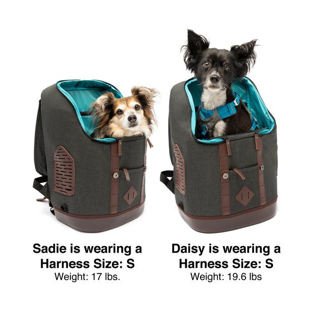 Kurgo K9 Rucksack Dog Carrier - Waterproof Backpack Bag | Pisces