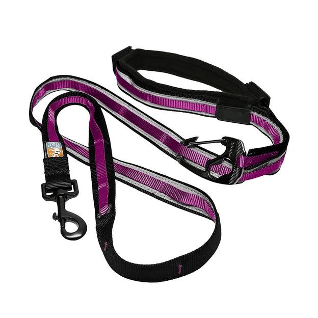 Kurgo 6-in-1 Quantum Dog Leash - Hands-Free | Pisces