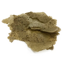 Vitalis Algae Flakes Fish Food | Pisces