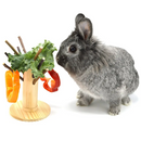 Oxbow Enriched Life Apple Twig Tree | Pisces