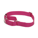 Coastal No! Slip Martingale Adjustable Collar - Pisces Pet Emporium