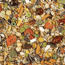 Sunseed Vita Prima Conure Formula - 1.3kg - Pisces Pet Emporium