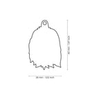 MyFamily Pet ID Tag - Bearded Collie Dog Tag | Pisces