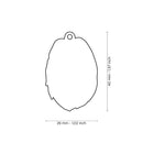 MyFamily Pet ID Tag - Briard Dog Tag | Pisces