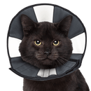 ZenPet Zen Cone - Small - Pisces Pet Emporium
