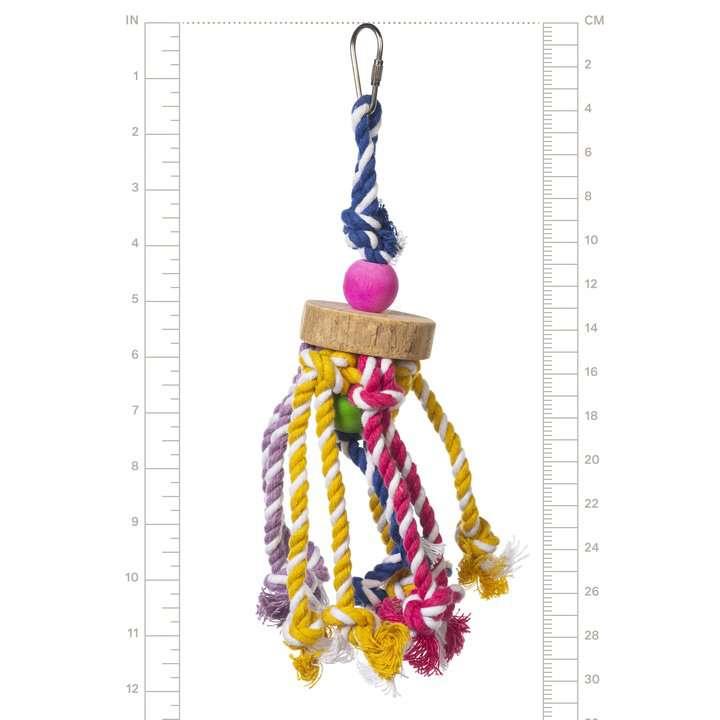 Prevue Pet Tropical Teasers Bird Toy Small Med | Pisces