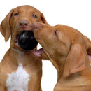 KONG Extreme Ball | Pisces