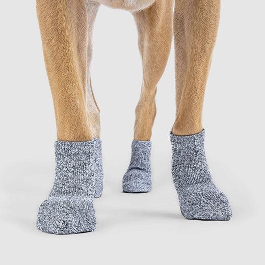 Canada Pooch Basic Socks Dog Grip Indoor | Pisces