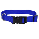 Coastal Adjustable Dog Collar - Pisces Pet Emporium