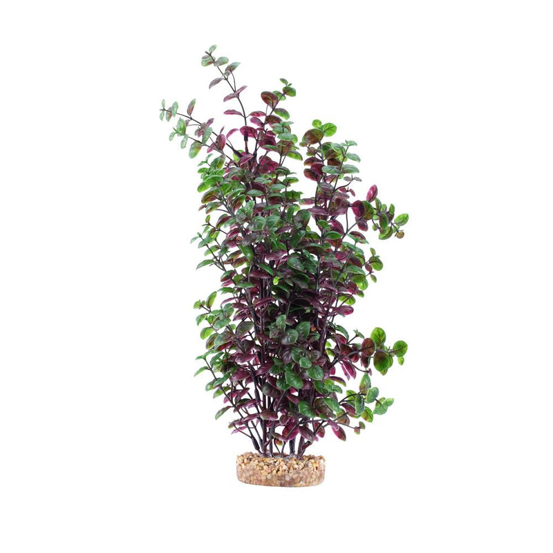 Fluval Aqualife Plant Scapes - Bacopa