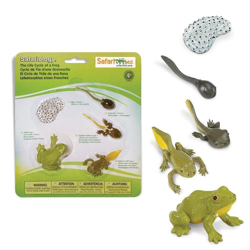 Safari Ltd. Life Cycle of a Frog - Pisces Pet Emporium