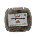 Jurassic Reptile Products - Frog/Sphagnum Moss Container - Pisces Pet Emporium