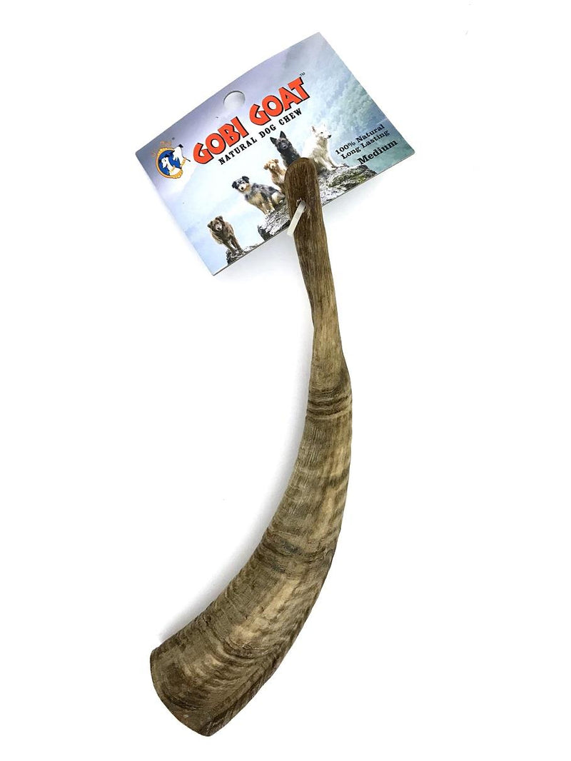 Free-Range Gobi Desert Goat Horn