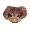 Vital Essentials Raw Bar - Pig Snout - Pisces Pet Emporium