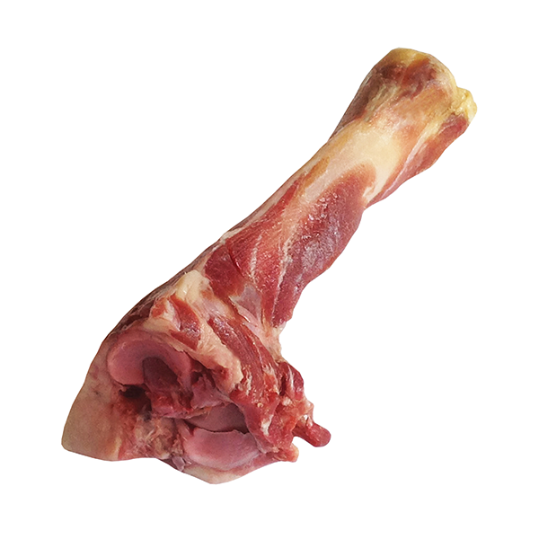 Dogit Charcuterie Prosciutto Bone for Dogs - Medium Tibia - Pisces Pet Emporium