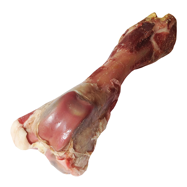 Dogit Charcuterie Prosciutto Bone for Dogs - Large Femur - Pisces Pet Emporium