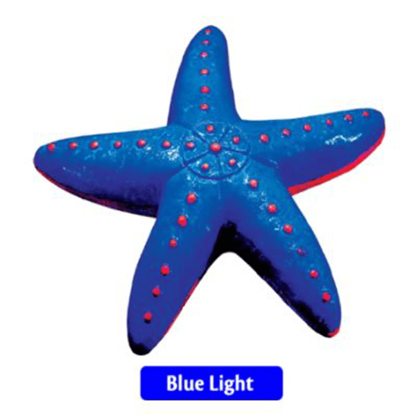 Tetra GloFish Sea Star - Pisces Pet Emporium