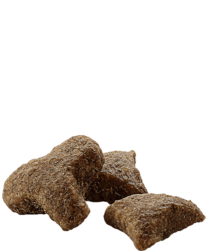 Versele-Laga Complete Ferret - 2.5 kg - Pisces Pet Emporium