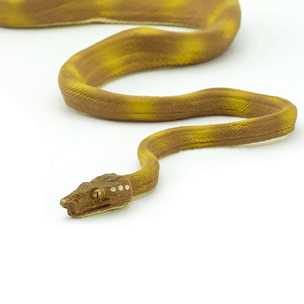 Safari Ltd. Amazon Tree Boa - Pisces Pet Emporium