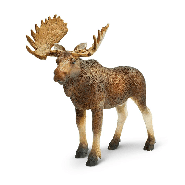 Safari Ltd. Bull Moose - Pisces Pet Emporium